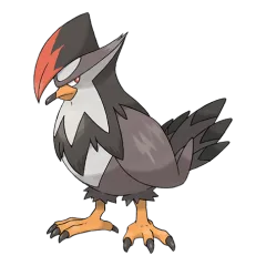 Staraptor