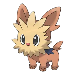 Lillipup